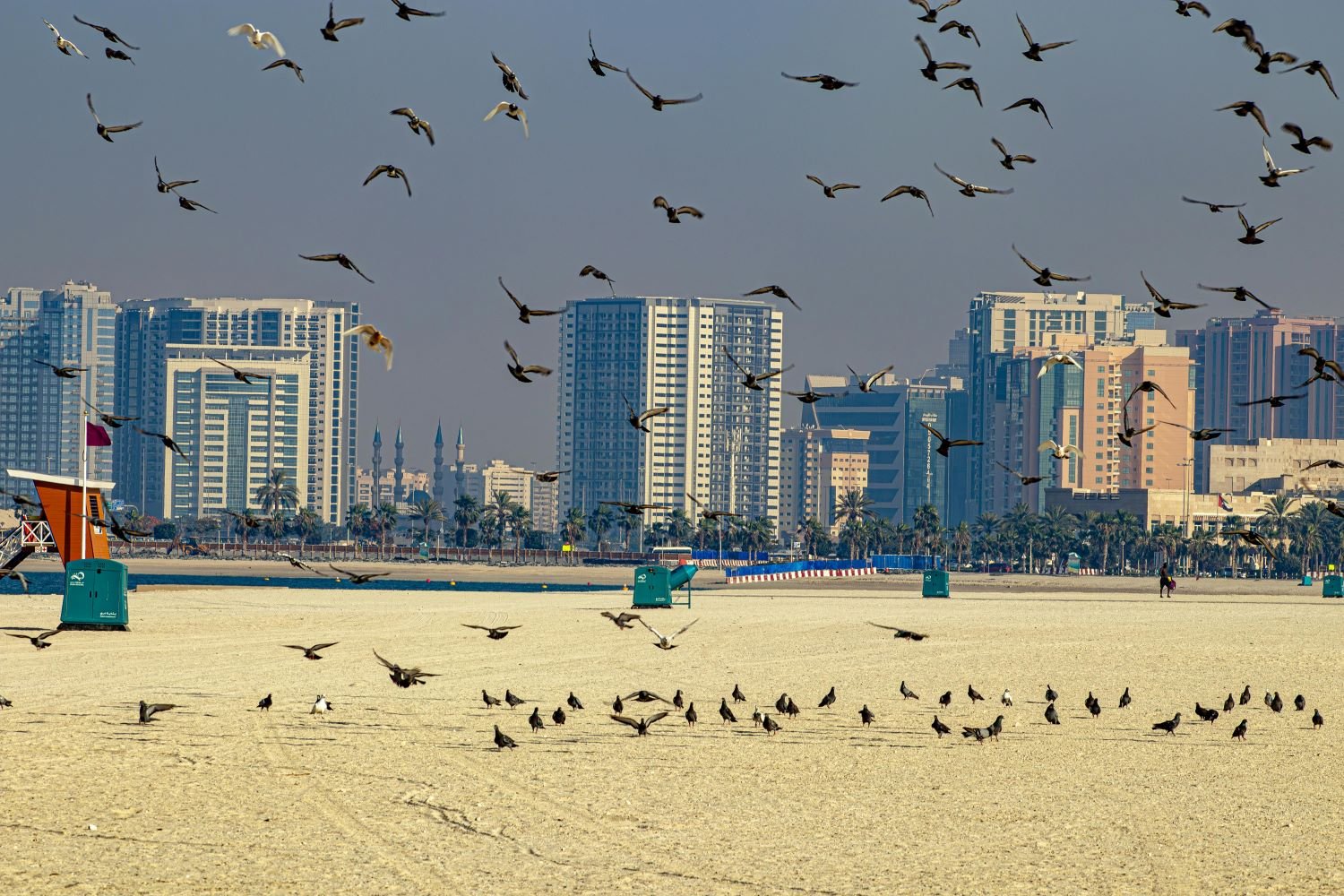 peri urban dubai
